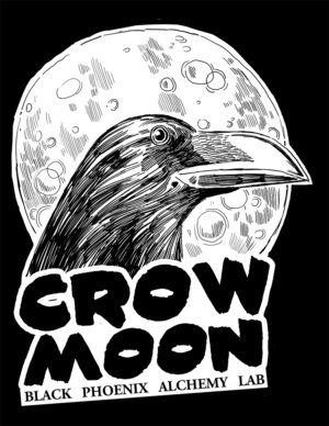 crow moon t-shirt image illustrated by dan santat with a crow against the full moon