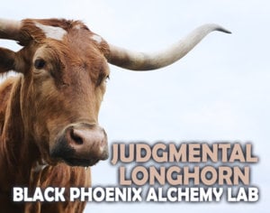photo of a longhorn bull