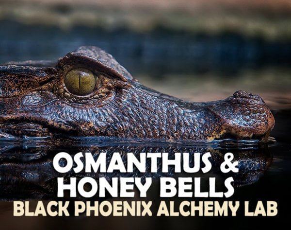 Osmanthus and Honey Bells Label Art