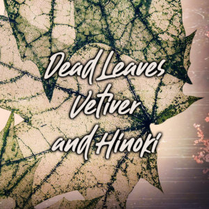 Dead Leaves, Vetiver, and Hinoki
