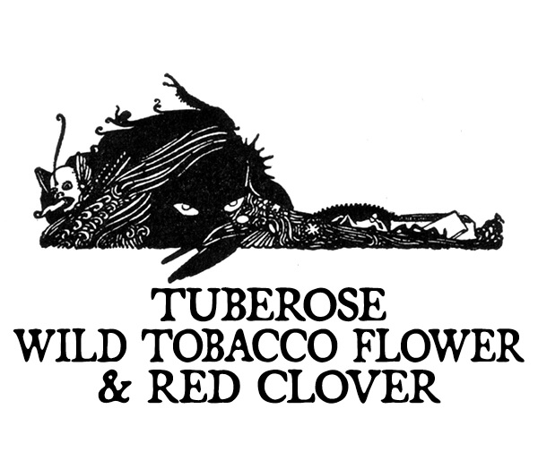 tuberose wild tobacco flower and red clover