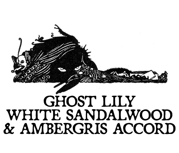 GHOST LILY, WHITE SANDALWOOD, AND AMBERGRIS ACCORD