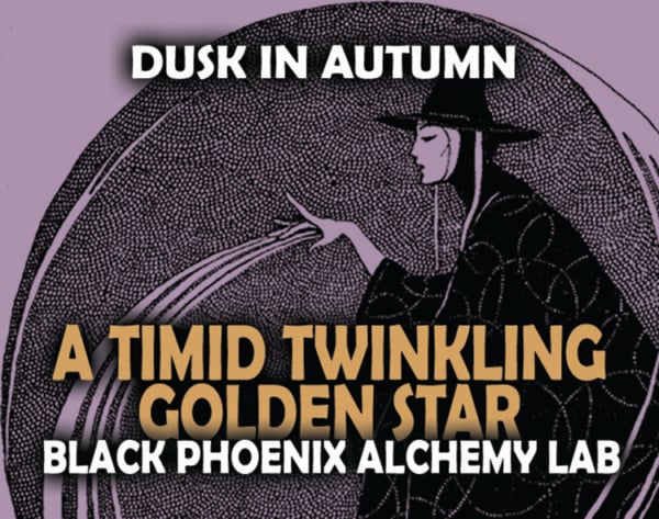 A TIMID TWINKLING GOLDEN STAR