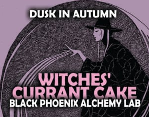 WITCHES' CURRANT CAKE