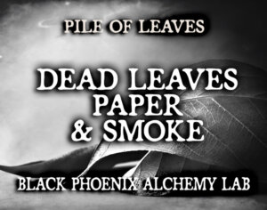 DEAD LEAVES, PAPER, AND SMOKE