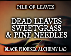 DEAD LEAVES, SWEETGRASS, AND PINE NEEDLES