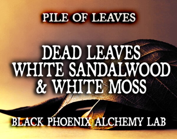 DEAD LEAVES, WHITE SANDALWOOD, AND WHITE MOSS