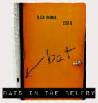 Bats in the Belfry 2023