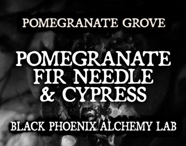 POMEGRANATE, FIR NEEDLE, AND CYPRESS