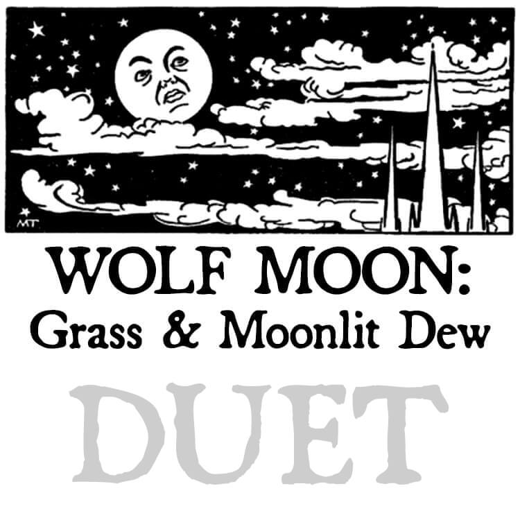 Wolf Moon: Grass & Moonlit Dew Perfume Oil – Black Phoenix Alchemy Lab