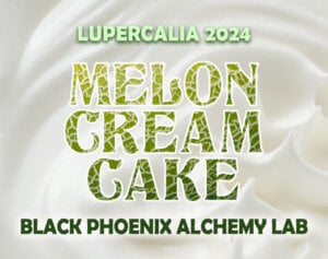 MELON CREAM CAKE