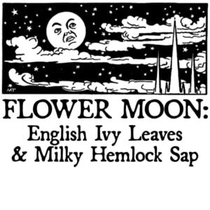 English Ivy Leaves and Milky Hemlock Sap
