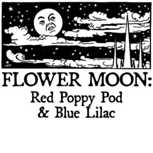 Red Poppy Pod and Blue Lilac FLOWER MOON -