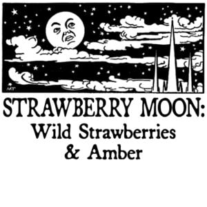 wild strawberries and amber