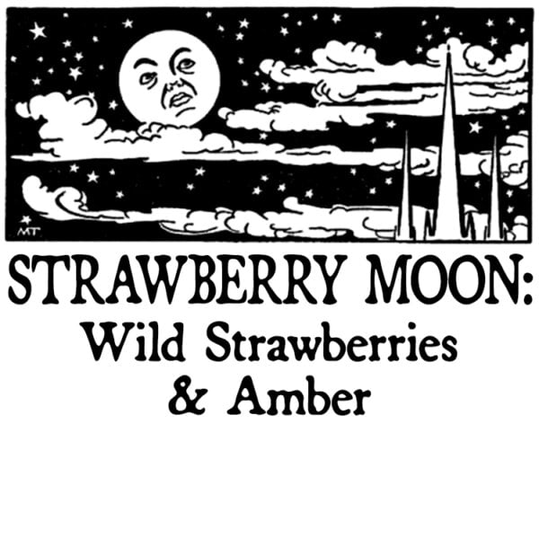 wild strawberries and amber