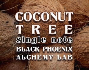 COCONUT TREE SINGLE NOTE