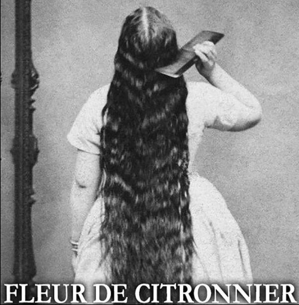 fleur de citronnier