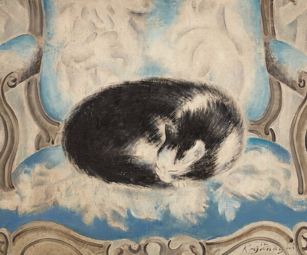 cat sleeping on an armchair