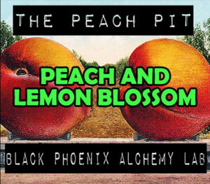 peach and lemon blossom