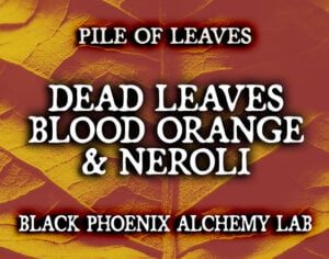 DEAD LEAVES, BLOOD ORANGE, AND NEROLI