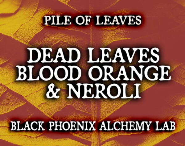 DEAD LEAVES, BLOOD ORANGE, AND NEROLI