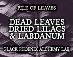 DEAD LEAVES, DRIED LILACS, AND LABDANUM