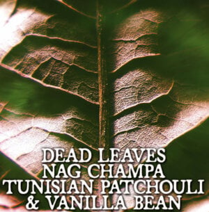 dead leaves