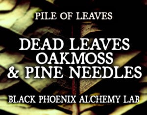 DEAD LEAVES, OAKMOSS, AND PINE NEEDLES