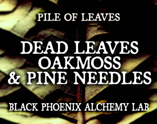 DEAD LEAVES, OAKMOSS, AND PINE NEEDLES