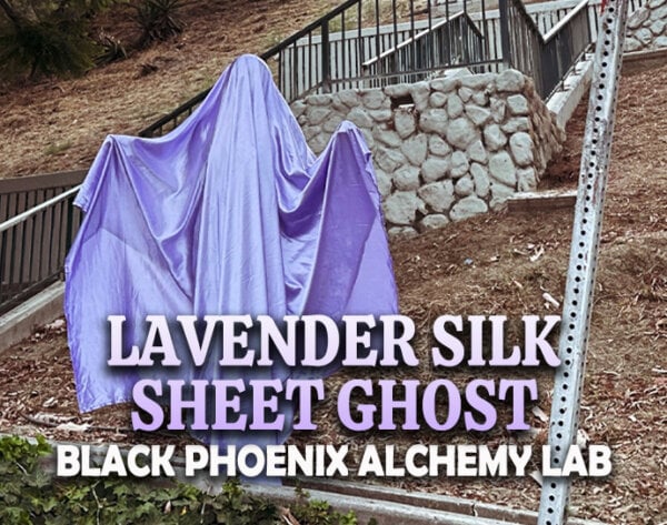 Lavender Silk Sheet Ghost