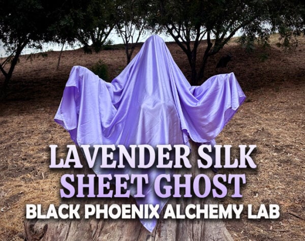 Lavender Silk Sheet Ghost