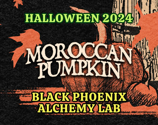 MOROCCAN PUMPKIN