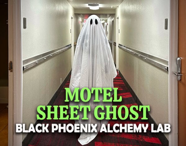 Motel Sheet Ghost