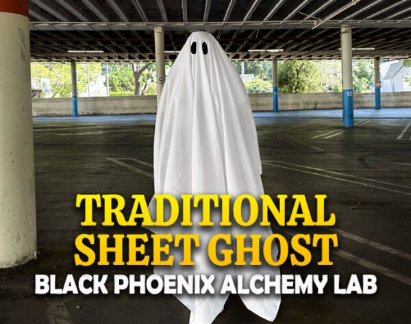 Traditional Sheet Ghost