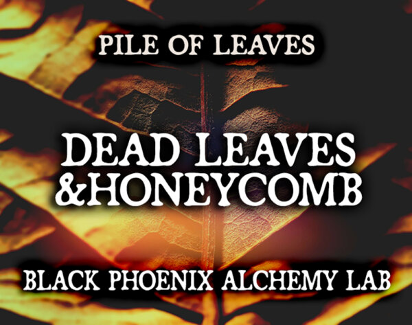 dead leaves and honeycomb