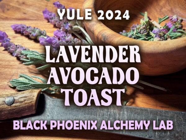 LAVENDER AVOCADO TOAST