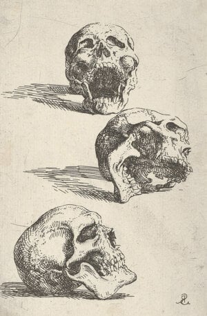 three human skulls