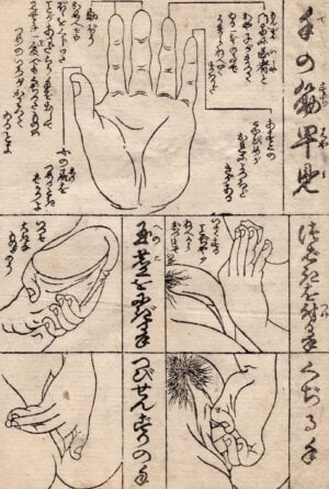 chart of the muscles of the hand