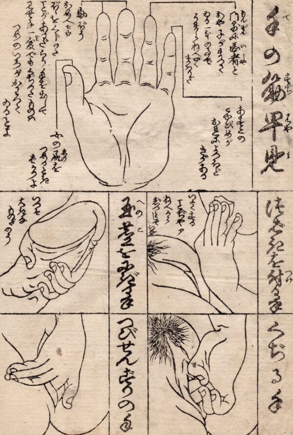 chart of the muscles of the hand