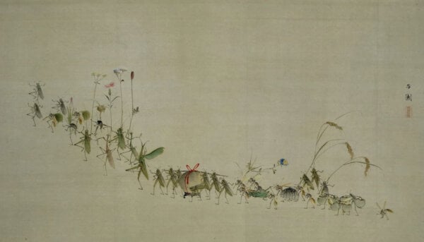 Procession of Insects Perfume Oil
