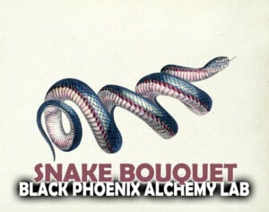 Snake Bouquet