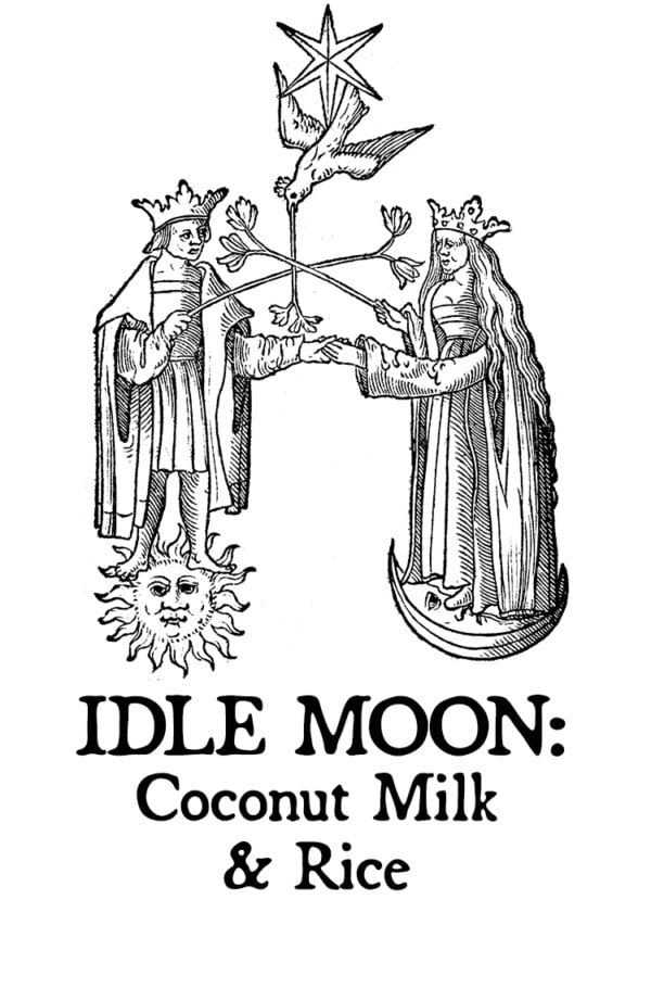 coconut milk and rice