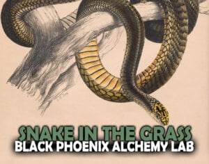 snake in the grass