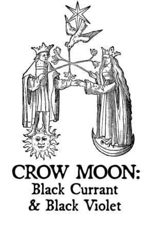 BLACK CURRANT AND BLACK VIOLET