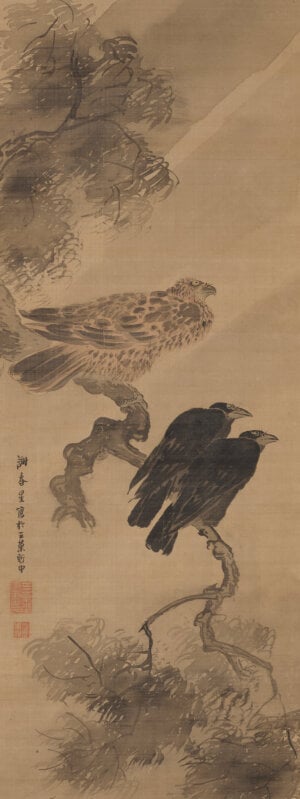 kite and two crows