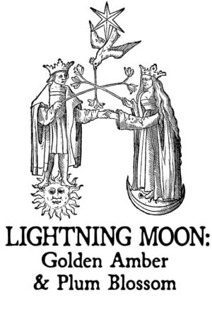 golden amber and plum blossom