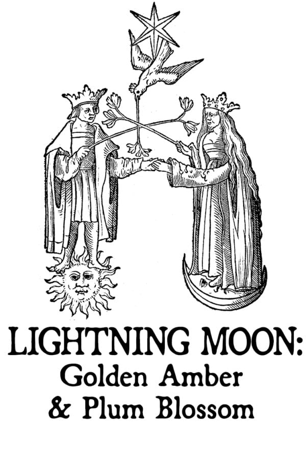 golden amber and plum blossom