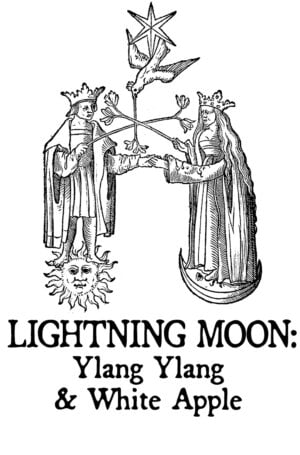 ylang ylang and white apple