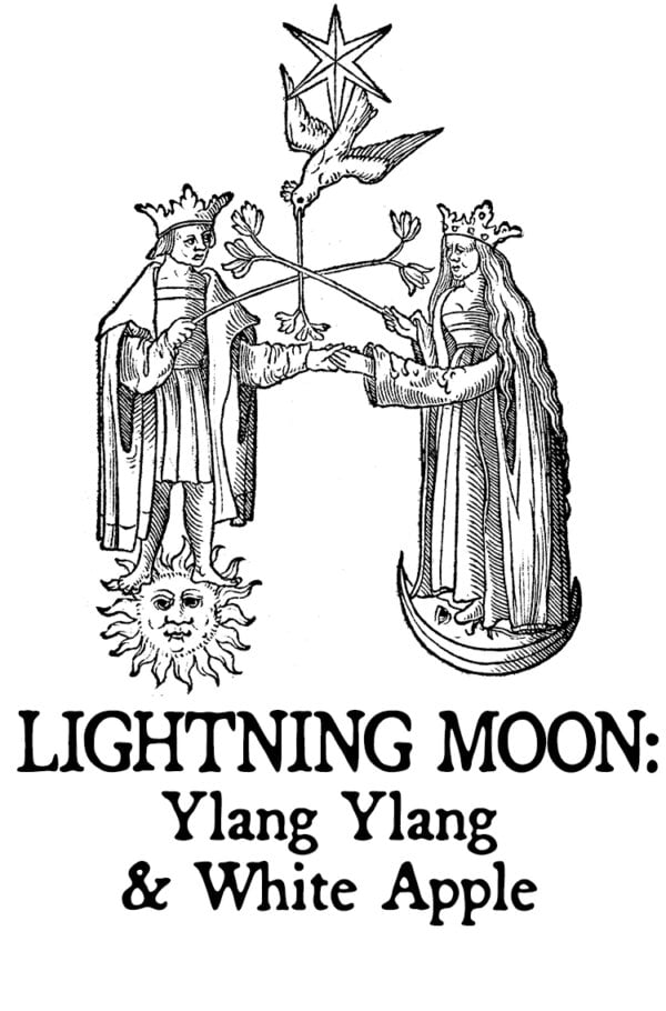 ylang ylang and white apple