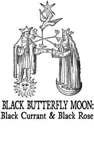 Black Currant and Black Rose
